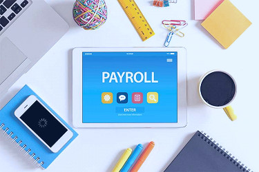 8 Best Human Resources Payroll Software for 2023